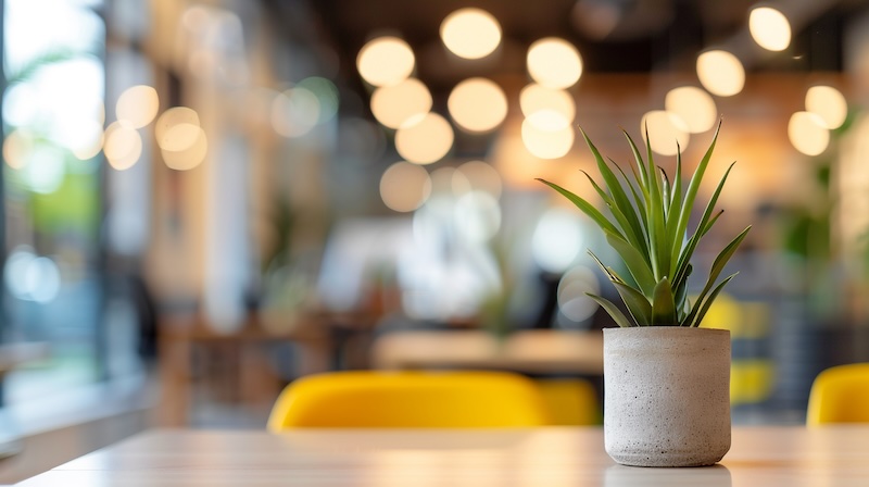 FBP Leadership & Expertise